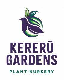 KG_Official_FullColour_Logo.png